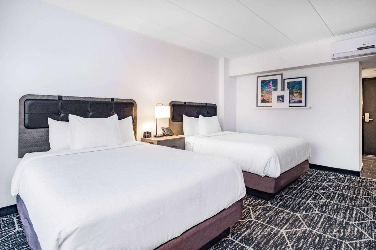 מלון רוזמונט La Quinta By Wyndham Chicago O'Hare Airport מראה חיצוני תמונה